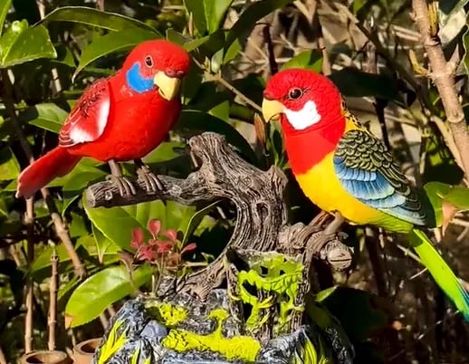 ⏳Time-limited Special⏰Electric Battery Operated Control Voice-Parrots