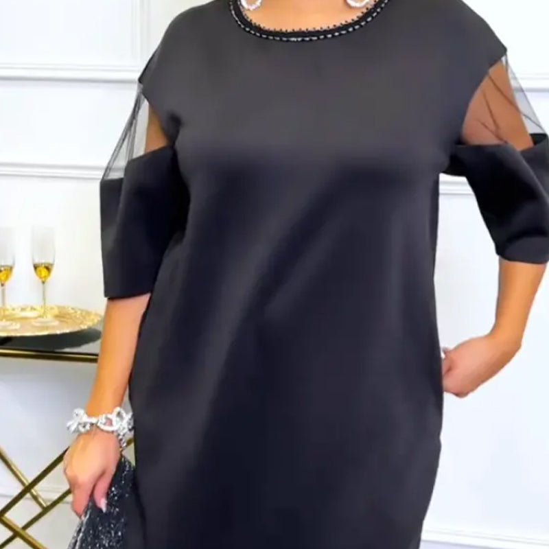 🌸Spring Specials🌸 Elegant Round Neck Semi-Sheer Sleeve Dress