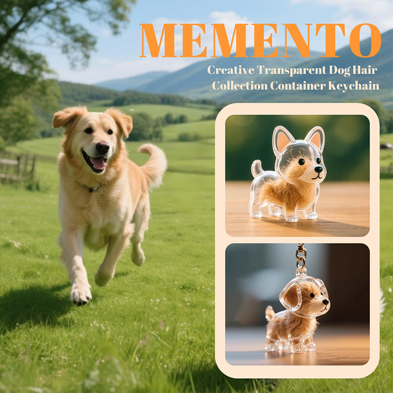 🐶Creative Transparent Dog Hair Collection Container Keychain