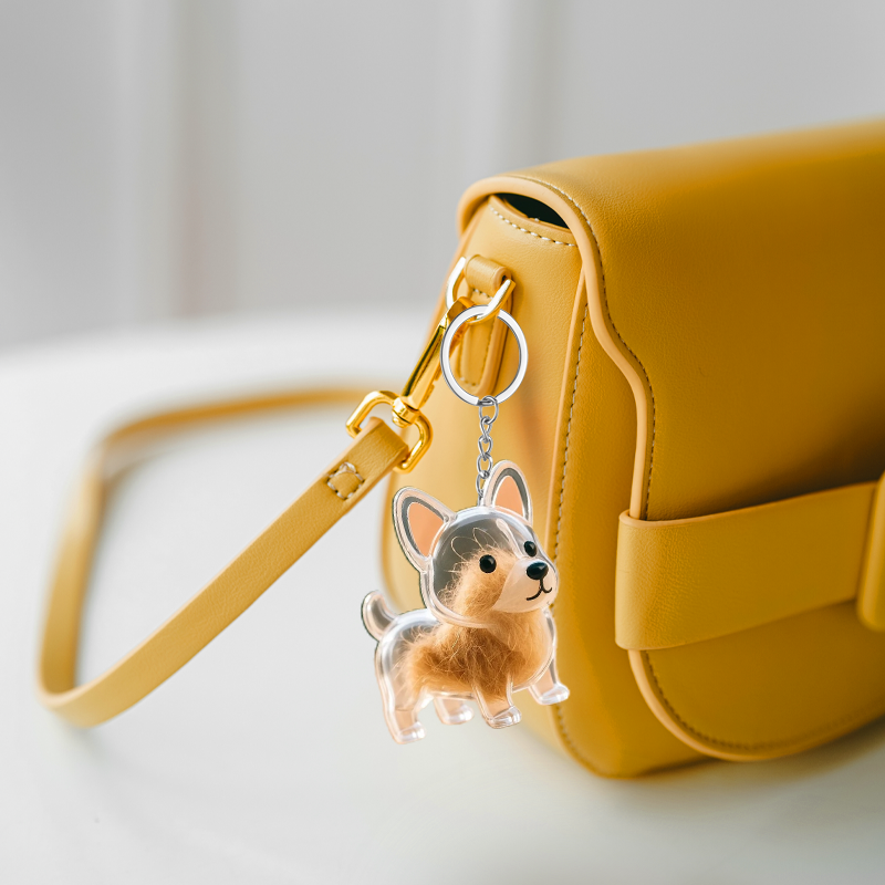 🐶Creative Transparent Dog Hair Collection Container Keychain