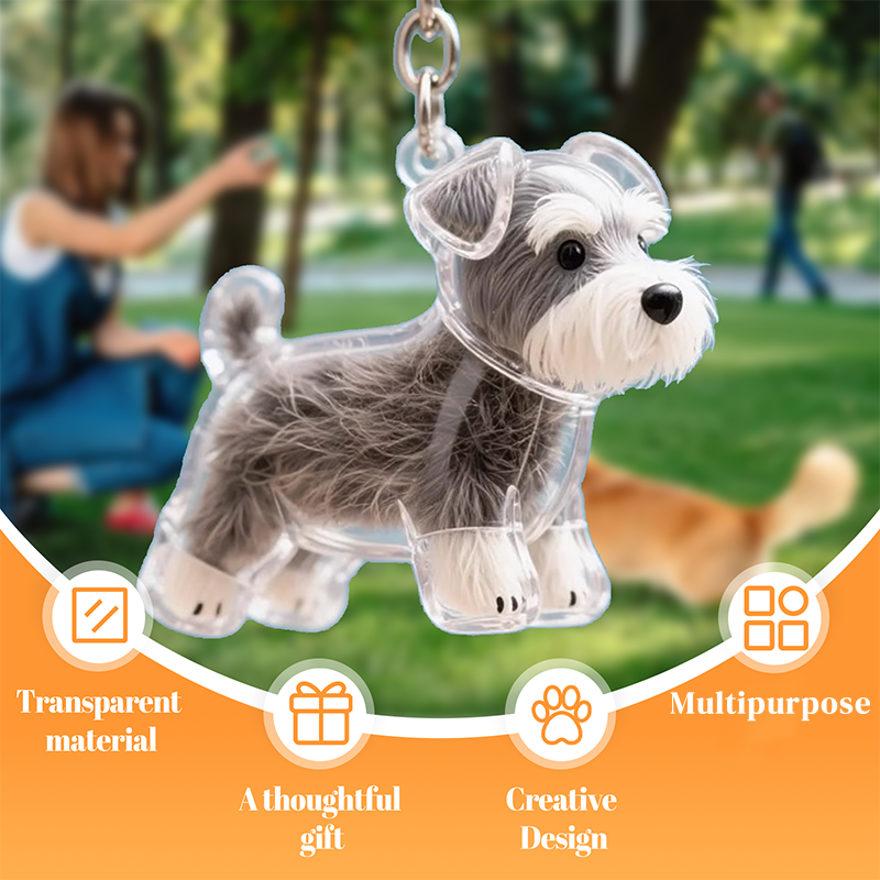 🐶Creative Transparent Dog Hair Collection Container Keychain