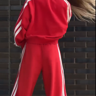 🔥2025 HOT SALE🔥 V-Neck Sweatshirt & Wide-Leg Pants (2-Piece Set)