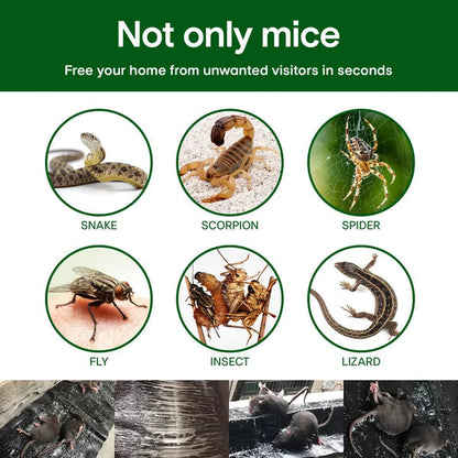 ⏳Time-limited Special⌛ Large Sticky Mouse Trap