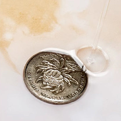 ⏳Time-limited Special⌛Repairing Leak Transparent Waterproof Sealant Coating