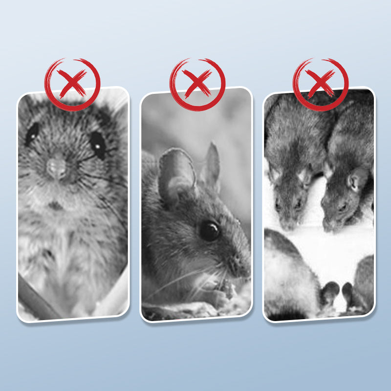 ⏳Limited-time 50% off⏰Reusable Rat Trap with High Sensitive Trigger🪤