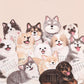 ⏳Limited-time 50% off⏰2026 3D Cats & Dogs Desk Calendar😻📆