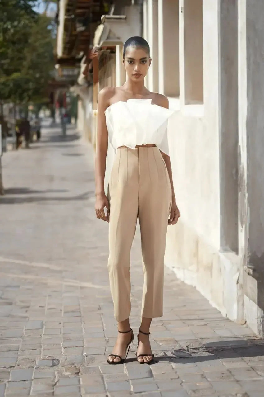 🎉New Product Launch💐–Tailored Pleat High Waist Pants（50%OFF🔥） spiyle