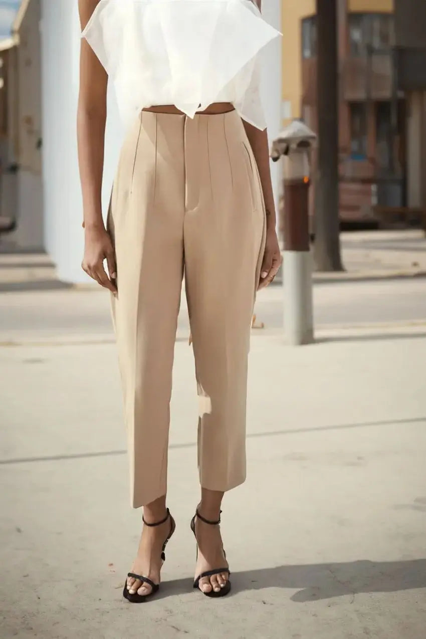 🎉New Product Launch💐–Tailored Pleat High Waist Pants（50%OFF🔥） spiyle